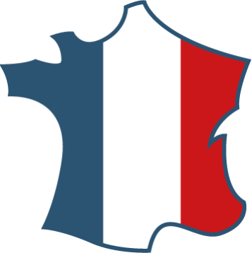 logo-france