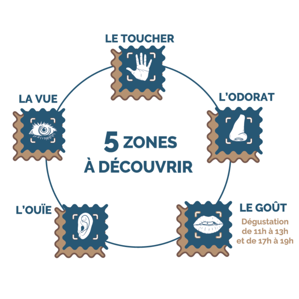 5-zones-final